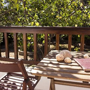 Twin Room Terrace