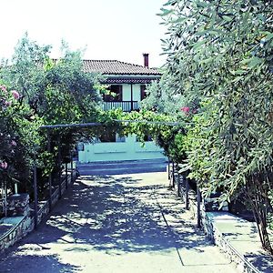 Twin Room Garden View
